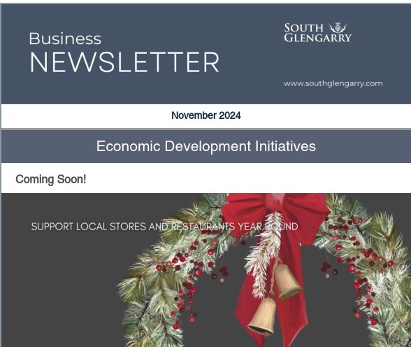 Business Newsletter - November 2024
